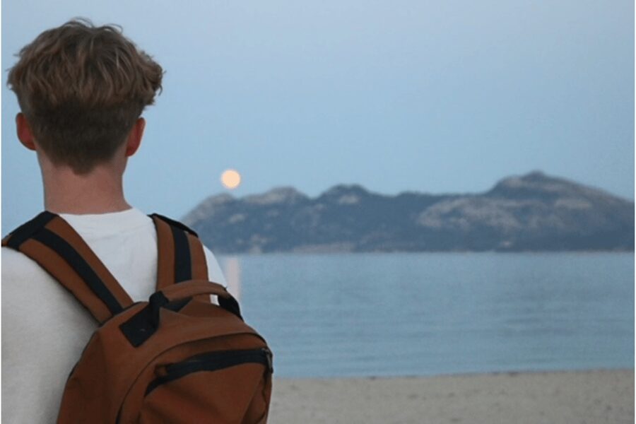 Mallorca: Instafamous Tour of Palma and North coast - Lunch plus wine or olive tasting in the mountains
