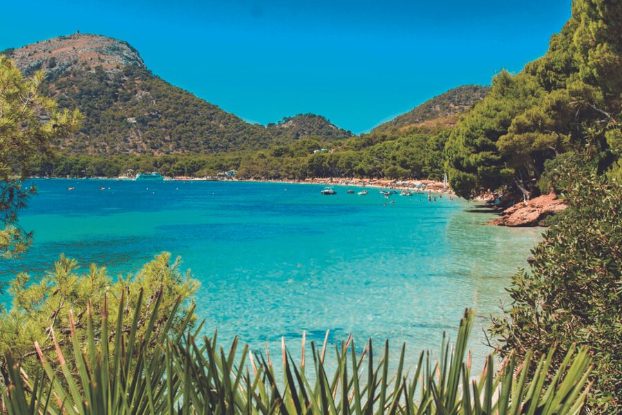 Mallorca: Instafamous Tour of Palma and North coast - Price and value: is $481 reasonable for what you get?