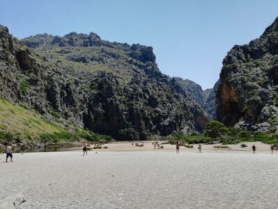 Island Tour with Boat, Train, and Hotel Transfer