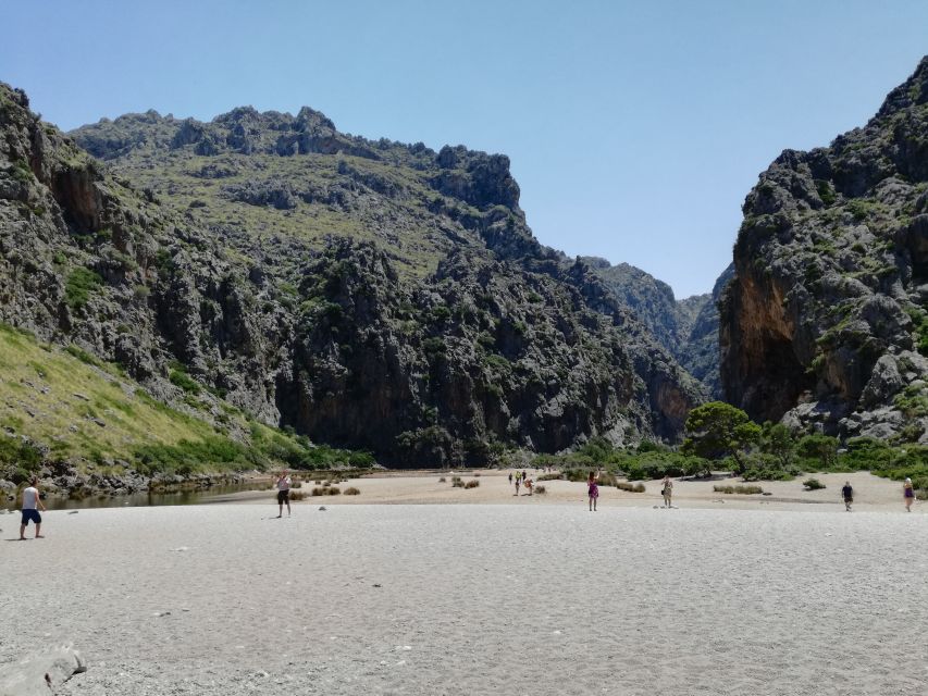 Mallorca: Island Tour with Boat, Train, and Hotel Transfer - Palma to Sóller by Vintage Train: Classic Views Without the Work