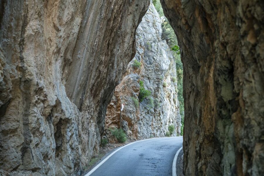 Mallorca: Island Tour with Boat, Tram & Train from the South - Guide and language experience: great value, but expect constant translation