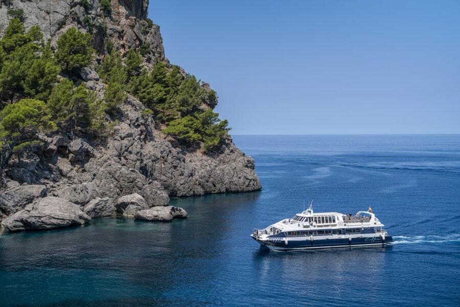 Mallorca: Island Tour with Boat, Tram & Train from the South - Tren de Soller wooden electric train: tunnels, olive and lemon country, and a view tip