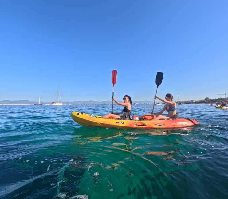 Mallorca: Kayak Rental - Sa Galera Islet Stop, the Phoenician Archaeology Bonus