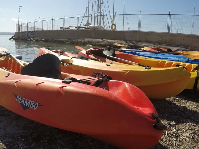 Mallorca: Kayak Rental - Optional Routes Toward Portixol and Palma Cathedral