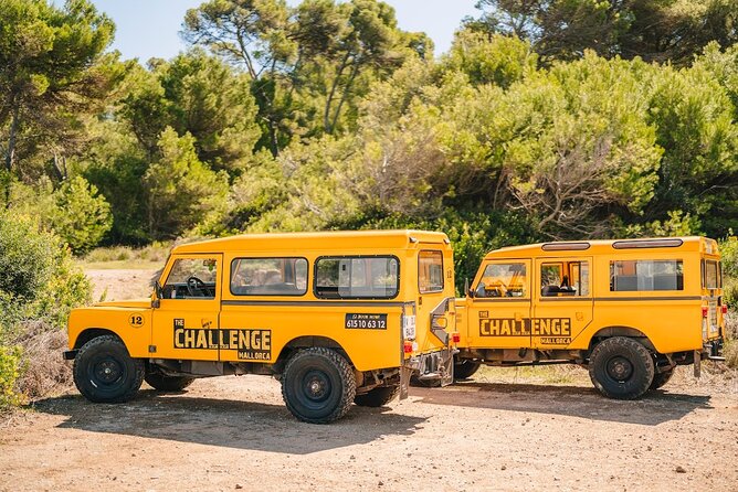 Mallorca: Kayaking, Sea Cave, Cliff Jumping & Snorkel Tour - A fast-paced Mallorca mix of kayak, cave, cliff jump, and snorkel