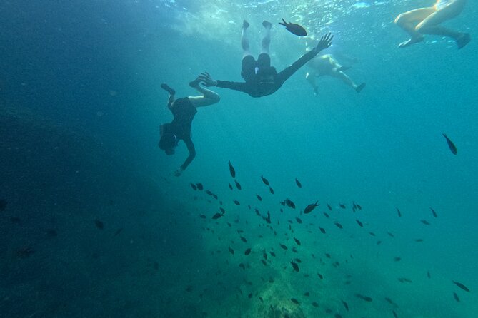 Mallorca: Kayaking, Sea Cave, Cliff Jumping & Snorkel Tour - Insurance, group size, and value for $83.44