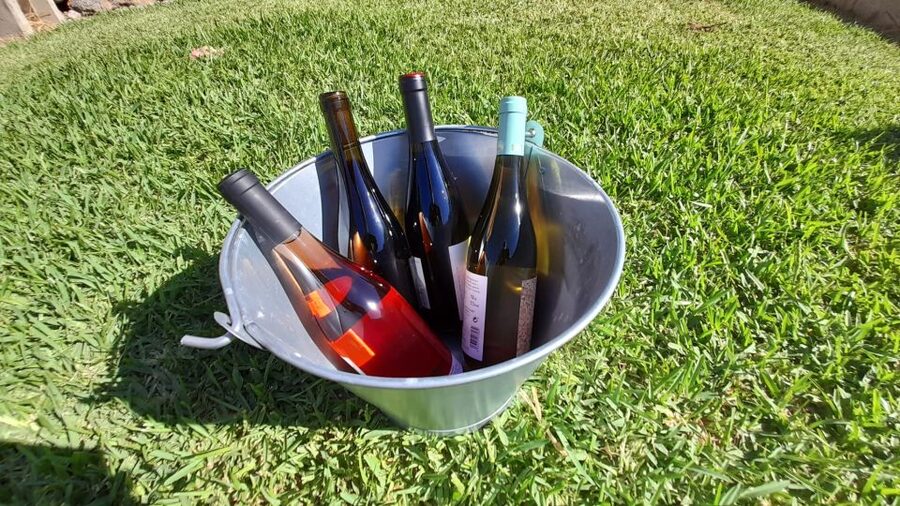 Mallorca: Local Wines & Foods Tasting - Cheese Variety on an Island Scale: Goats, Cows, and Oveja Roja