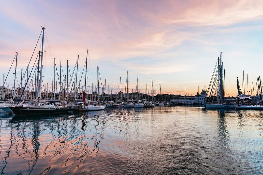 Mallorca: Midday or Sunset Sailing with Snacks and Open Bar - Key highlights you will care about