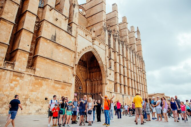 Mallorca Old Town Walking Tour with Cathedral Skip The Line Tour - Plaza de Cort: Ayuntamiento de Palma, the Cort olive tree, and little details you’ll remember