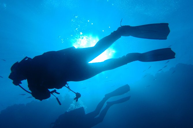 Mallorca: Open Water Diver Course - Key highlights worth your attention