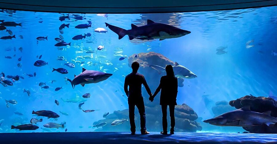 Mallorca: Palma Aquarium Entry Ticket w/ Optional 3D Cinema - Palma Aquarium Ticket: What You Actually Get for a Full Day