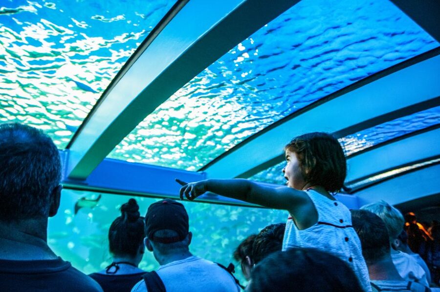 Mallorca: Palma Aquarium Entry Ticket w/ Optional 3D Cinema - Who This Works Best For, and Who Might Want a Different Plan