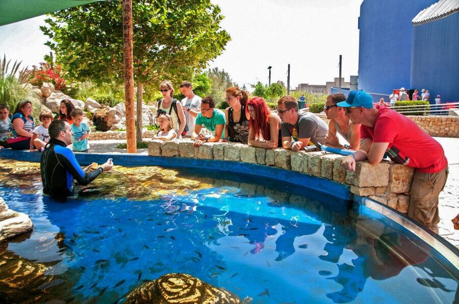 Mallorca: Palma Aquarium Entry Ticket w/ Optional 3D Cinema - Family-Friendly Mallorca Day: Splash Pad, Playgrounds, and Jungle Waterfall Views