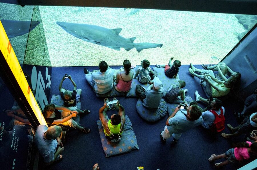 Mallorca: Palma Aquarium Entry Ticket w/ Optional 3D Cinema - Aquadome Optional 3D Cinema: A Whale Show Without the Seats Standing Still