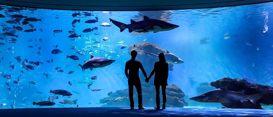Mallorca: Palma Aquarium Entry Ticket w/ Optional 3D Cinema - Food, Comfort, and the Real-World Stuff That Can Affect Your Mood