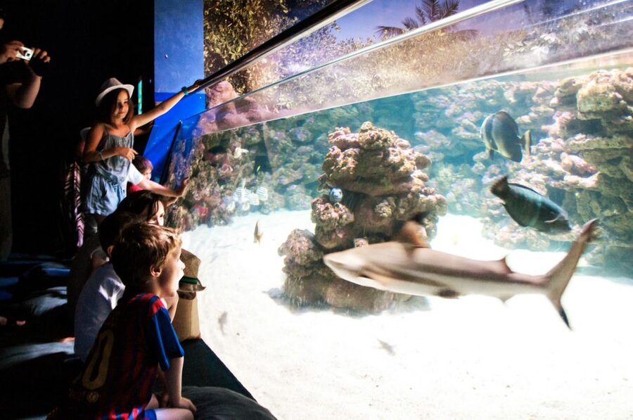 Mallorca: Palma Aquarium Entry Ticket w/ Optional 3D Cinema - Price and Value: Is $39 a Fair Deal in Mallorca?