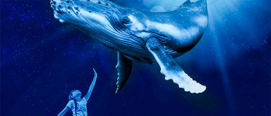 Mallorca: Palma Aquarium Entry Ticket w/ Optional 3D Cinema - Big Blue and the Living Coral Show: The Two Stops You Should Plan Around