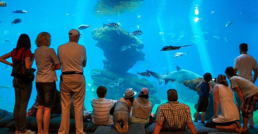 Mallorca: Palma Aquarium Tickets with Transfer - Key things to know before you go