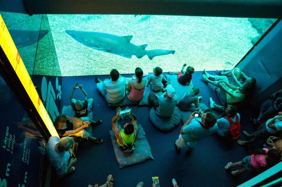 Mallorca: Palma Aquarium Tickets with Transfer - Rooftop garden: views you can enjoy when you want a breather