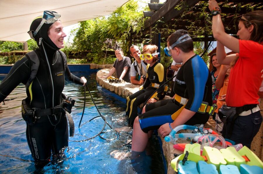 Mallorca: Palma Aquarium Tickets with Transfer - Palma Aquarium with transfer: the practical version of a fun day