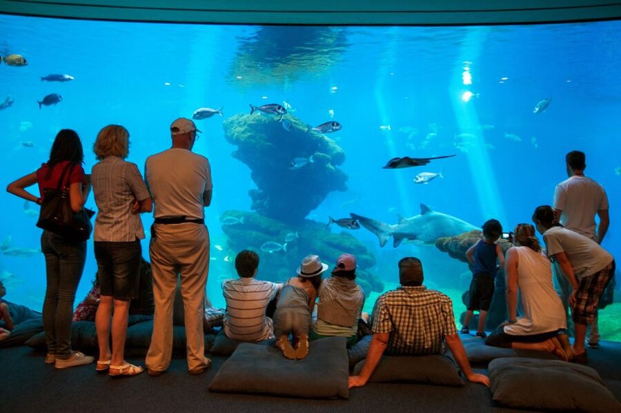 Mallorca: Palma Aquarium Tickets with Transfer - Skip the line and start with your guide’s quick orientation