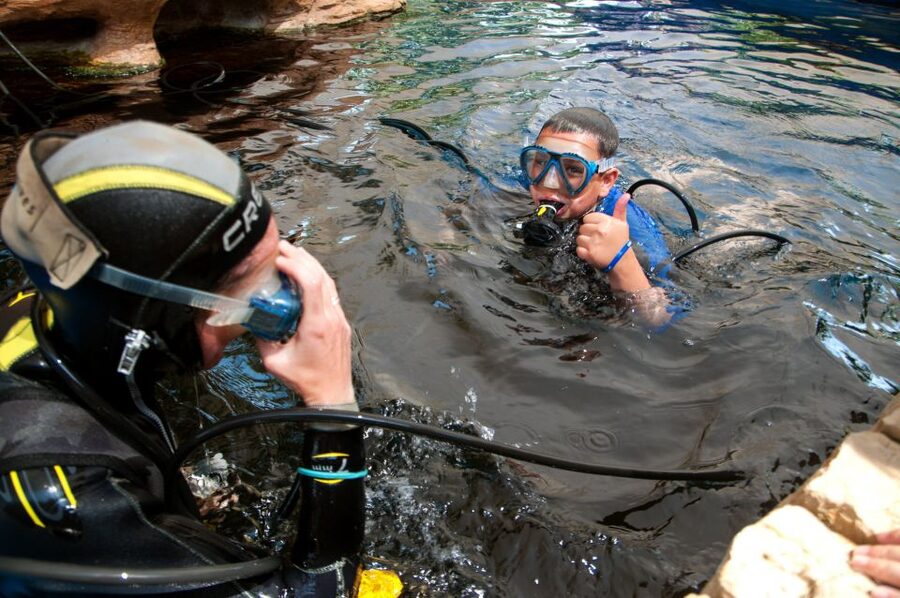 Mallorca: Palma Aquarium Tickets with Transfer - Big Blue: the shark zone that anchors the whole visit
