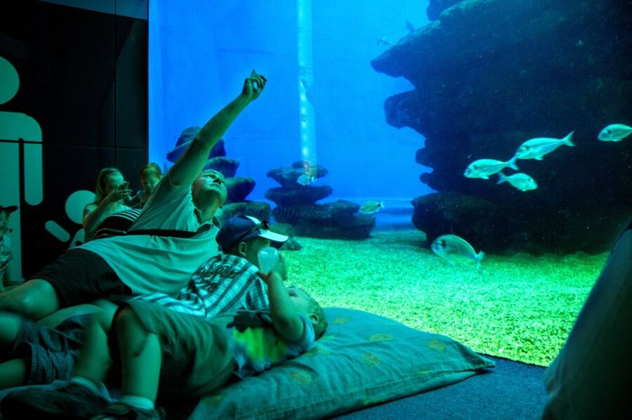 Mallorca: Palma Aquarium Tickets with Transfer - Pirate ship play and water battle: fun that fits into a museum day