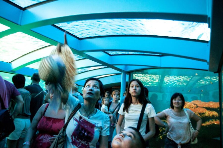 Mallorca: Palma Aquarium Tickets with Transfer - Walk in and out as you wish: use that freedom wisely