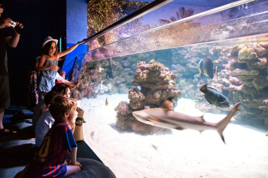 Mallorca: Palma Aquarium Tickets with Transfer - Getting to the aquarium: meeting point and transfer time