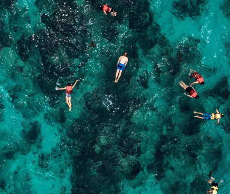 Mallorca: Palma Boat Tour & Snorkeling with Drink Included - Who this tour fits best, and who should skip it