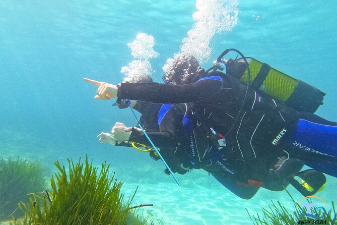 Mallorca PRIVATE Reservation<em>Scuba dive + photo/video – Quick take’ /></p>
<ul>
<li><strong>Private 1-to-2 instruction</strong> with Alex or Jose, so you are not competing for attention</li>
<li><strong>Start at 1 meter</strong>, then progress to a <strong>maximum of 6 meters</strong> for a beginner-friendly profile</li>
<li><strong>Shore-based practice</strong> first, for comfort and safety, with hands-on help the whole time</li>
<li><strong>GoPro Hero10 photos and video</strong> included, shot by an assistant while you focus on breathing</li>
<li><strong>45 to 50 minutes underwater</strong> with about an hour total in the water for your first session</li>
<li><strong>No swimming needed</strong>, and your instructor can help you float if anything feels off</li>
</ul>
<h2>Palma’s private first-time scuba session: what makes it work</h2>
<p><img width="669" height="446" decoding="async" src=