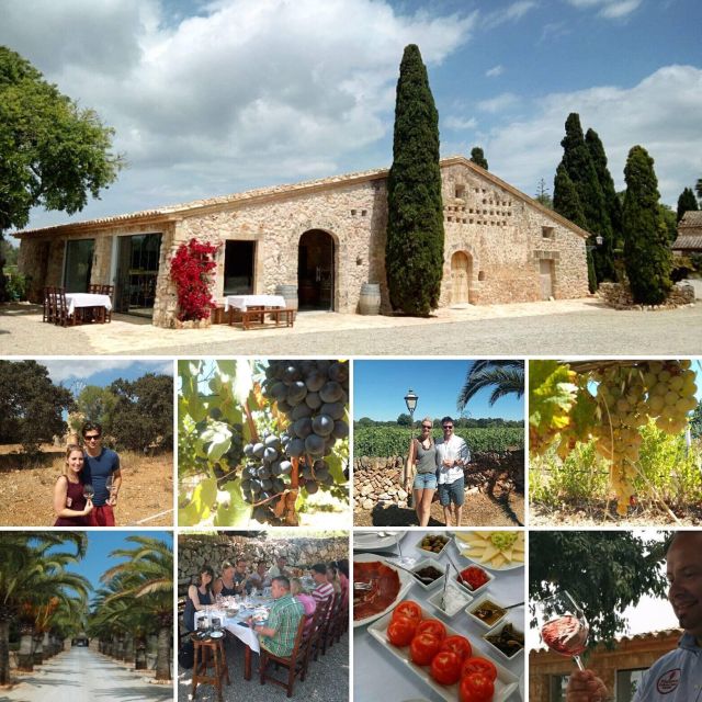 Mallorca: Private Wine Tour with Tasting and Picnic - Entering the winery: what the winemaker tour is really about