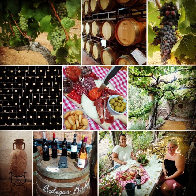 Mallorca: Private Wine Tour with Tasting and Picnic - The tasting setup: Mallorquin wines with tapas pairing