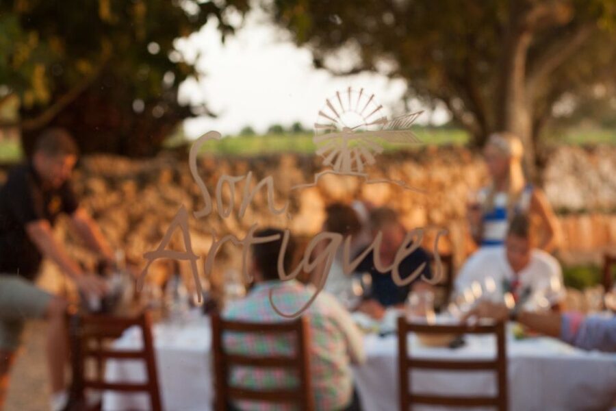 Mallorca: Private Wine Tour with Tasting and Picnic - Who should book this wine tour (and who might want a different plan)