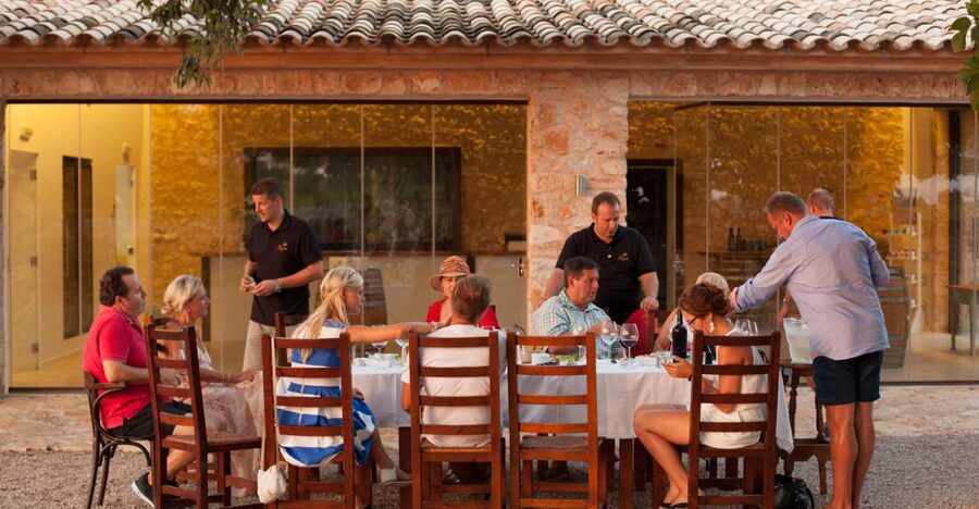 Mallorca: Private Wine Tour with Tasting and Picnic - What to expect from the guide, and why Robert’s style matters