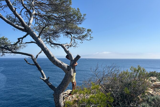 Mallorca Secret Coves Land Rover Private Tour - The four-cove plan: what you gain in 6 hours