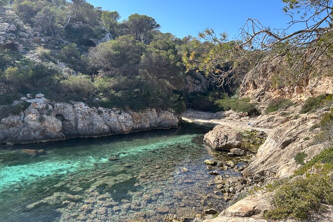 Mallorca Secret Coves Land Rover Private Tour - Snorkeling equipment, water, and soda, done the useful way
