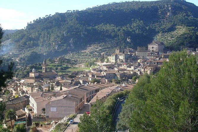 Mallorca Shore Excursion Highlights Private Tour including Valldemossa - Price and Value: Is $603.29 Per Person a Smart Spend?