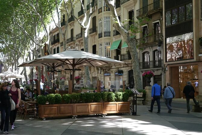 Mallorca Shore Excursion Highlights Private Tour including Valldemossa - What the 4-Hour Schedule Feels Like on the Ground
