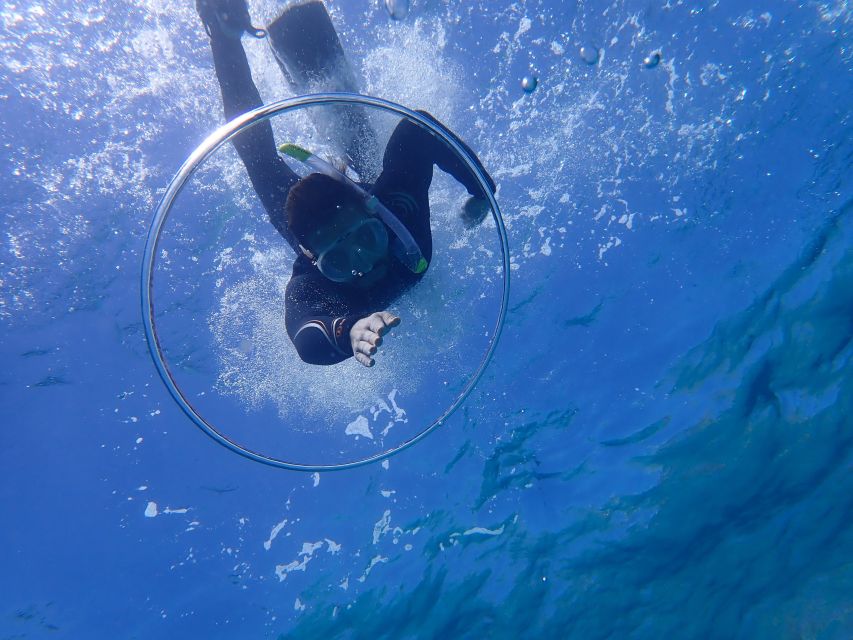 Mallorca: Snorkeling in a Beautiful Nature Reserve - Before You Go: What to Pack and the Rules That Affect You