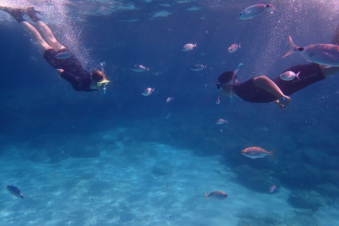 Mallorca: Snorkeling in a Beautiful Nature Reserve - The Palma pick-up, and why arriving early makes it smoother