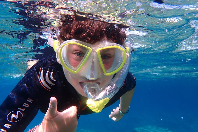 Mallorca: Snorkeling in a Beautiful Nature Reserve - Price and value: is $83.98 worth 3 hours 30 minutes?