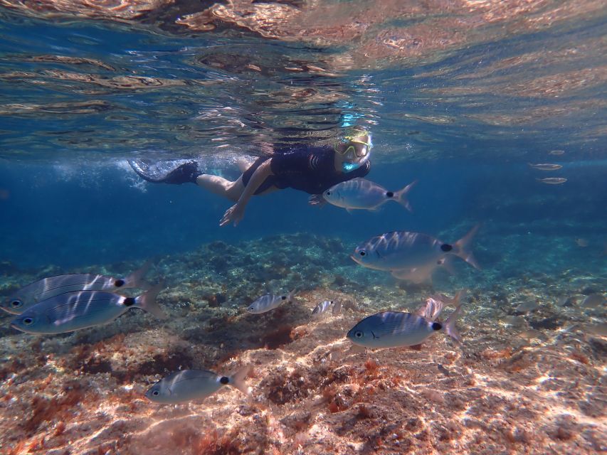 Mallorca: Snorkeling in a Beautiful Nature Reserve - How the 3.5 Hours Usually Works (Without Feeling Rushed)