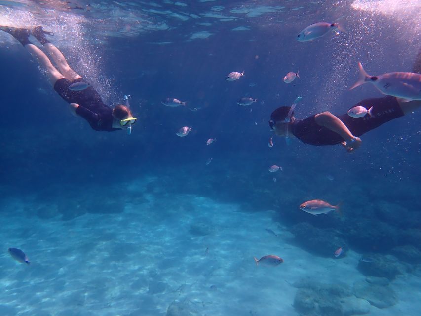 Mallorca: Snorkeling in a Beautiful Nature Reserve - Price and Value: Is $82 Worth It?