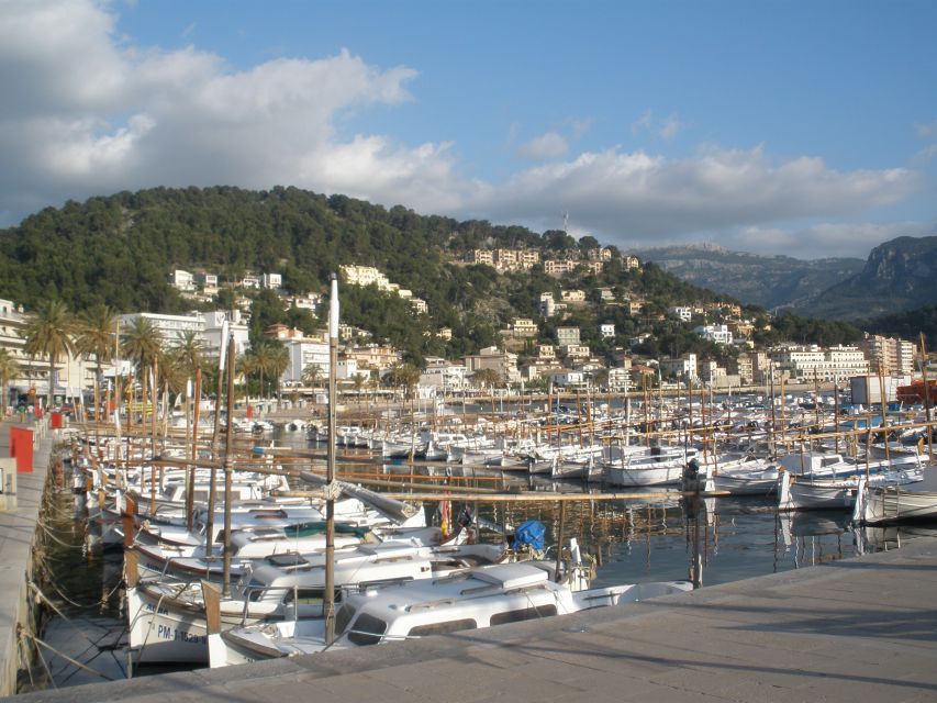 Mallorca: Soller Port and Valldemossa - Should You Book This Valldemossa and Soller Port Half-Day?