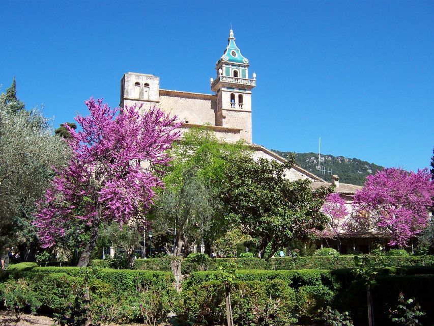 Mallorca: Soller Port and Valldemossa - Soller Port Free Time: Sea Air and a Natural Harbor Setting