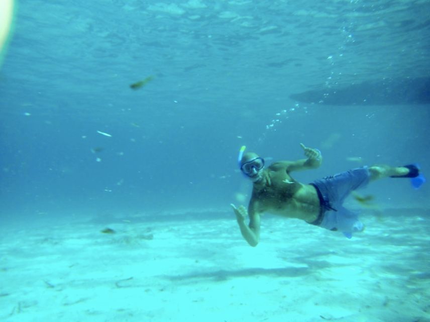Mallorca : Speedboat, Snorkelling and Swimming Adventure - Snorkeling time that’s actually worth it