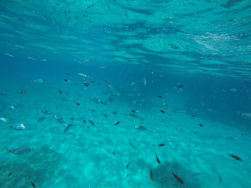 Mallorca : Speedboat, Snorkelling and Swimming Adventure - The Formentor cave: stalactites, photos, and the reality check