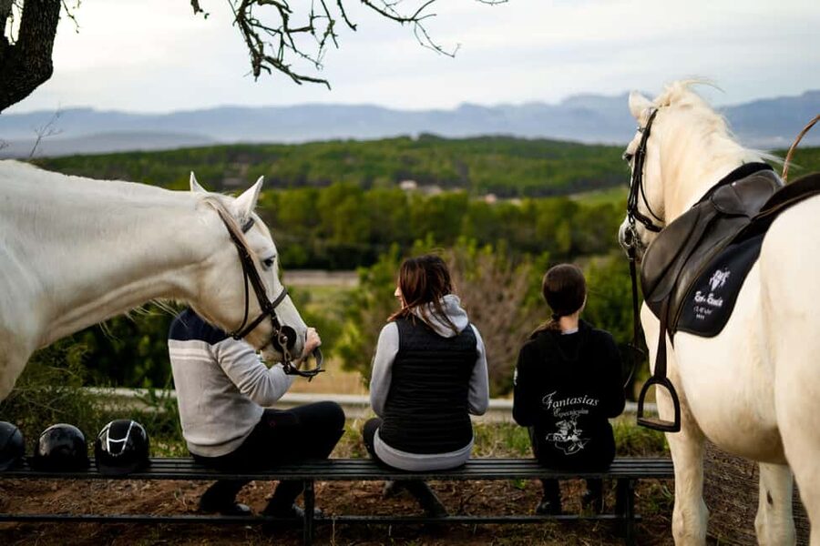 Mallorca: Sunset Horseback Ride with Drinks - Sunset horseback riding in the Randa Valley: the big idea