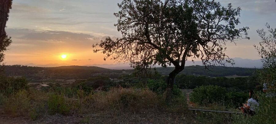Mallorca: Sunset Horseback Ride with Drinks - Price and value: what $182 really covers